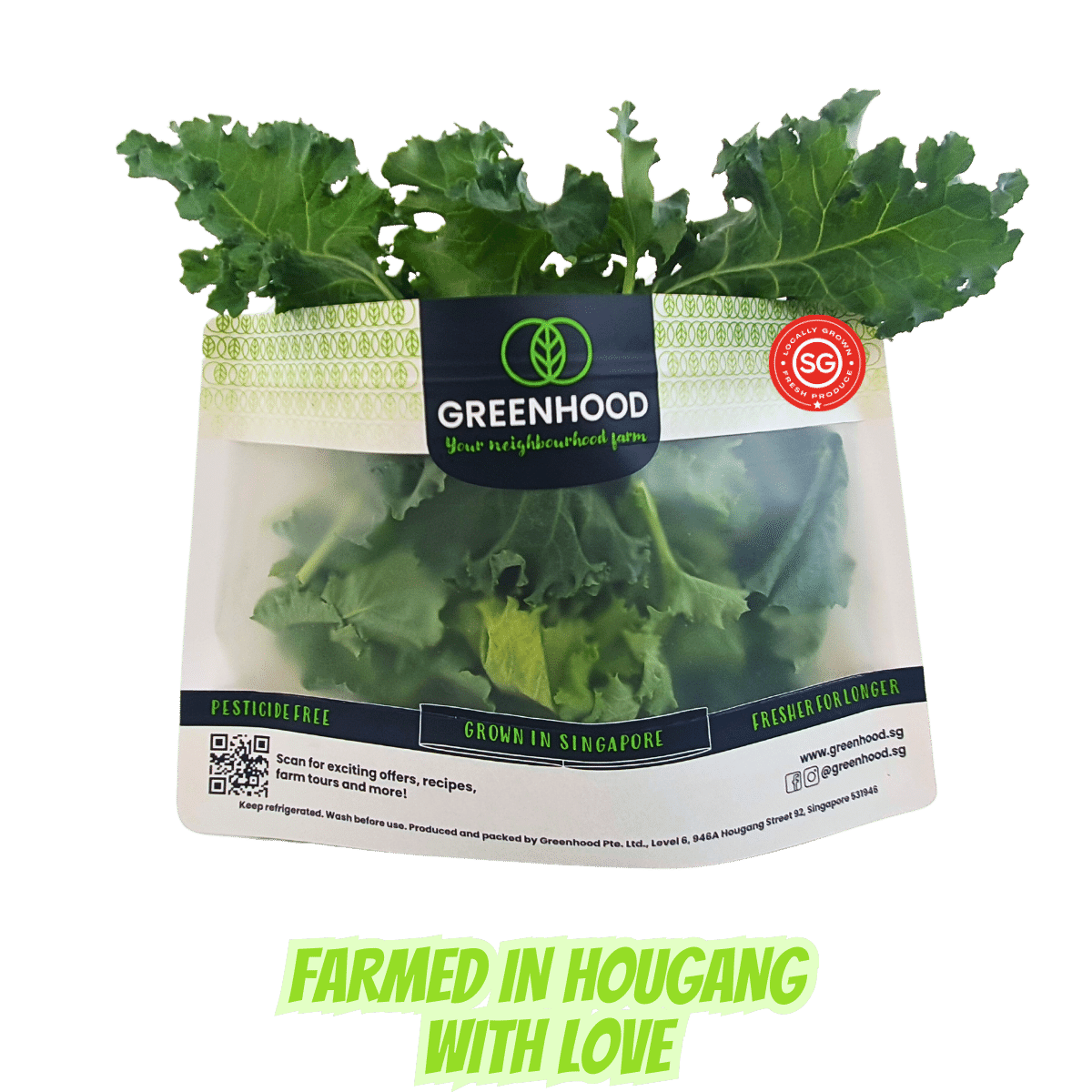 Farm Fresh Curly Kale-2