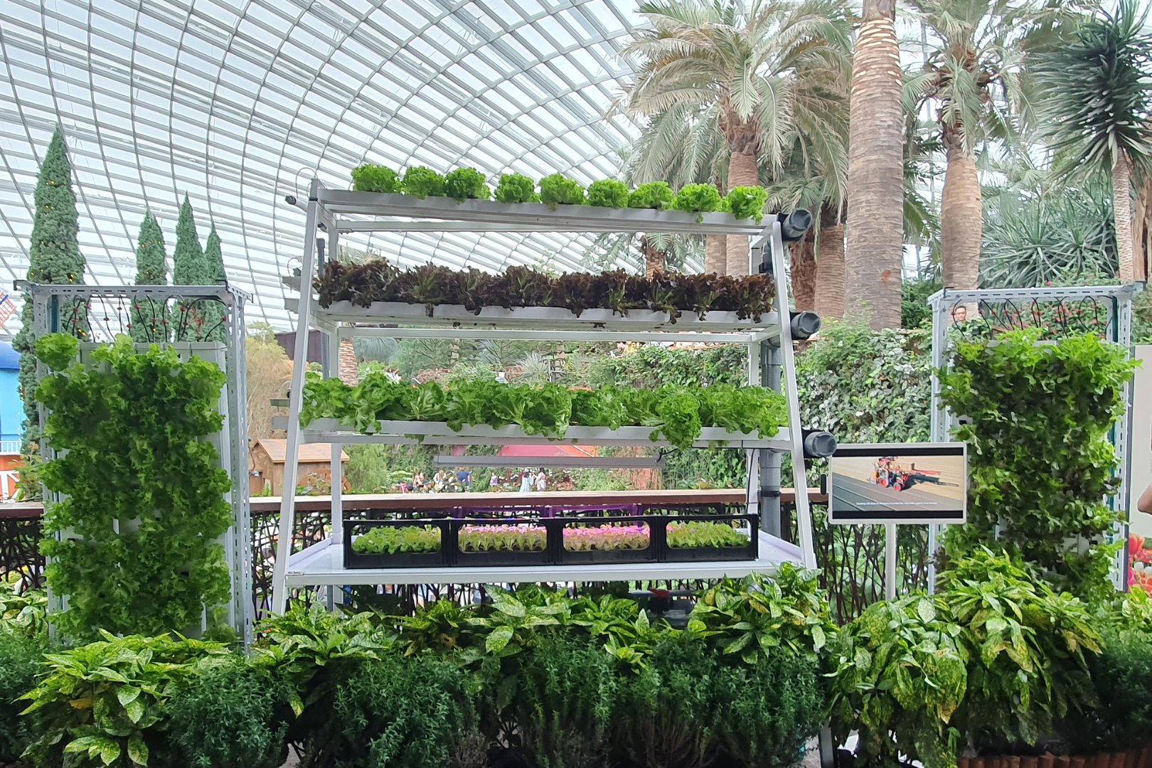 Edible green wall - Gardens by the Bay