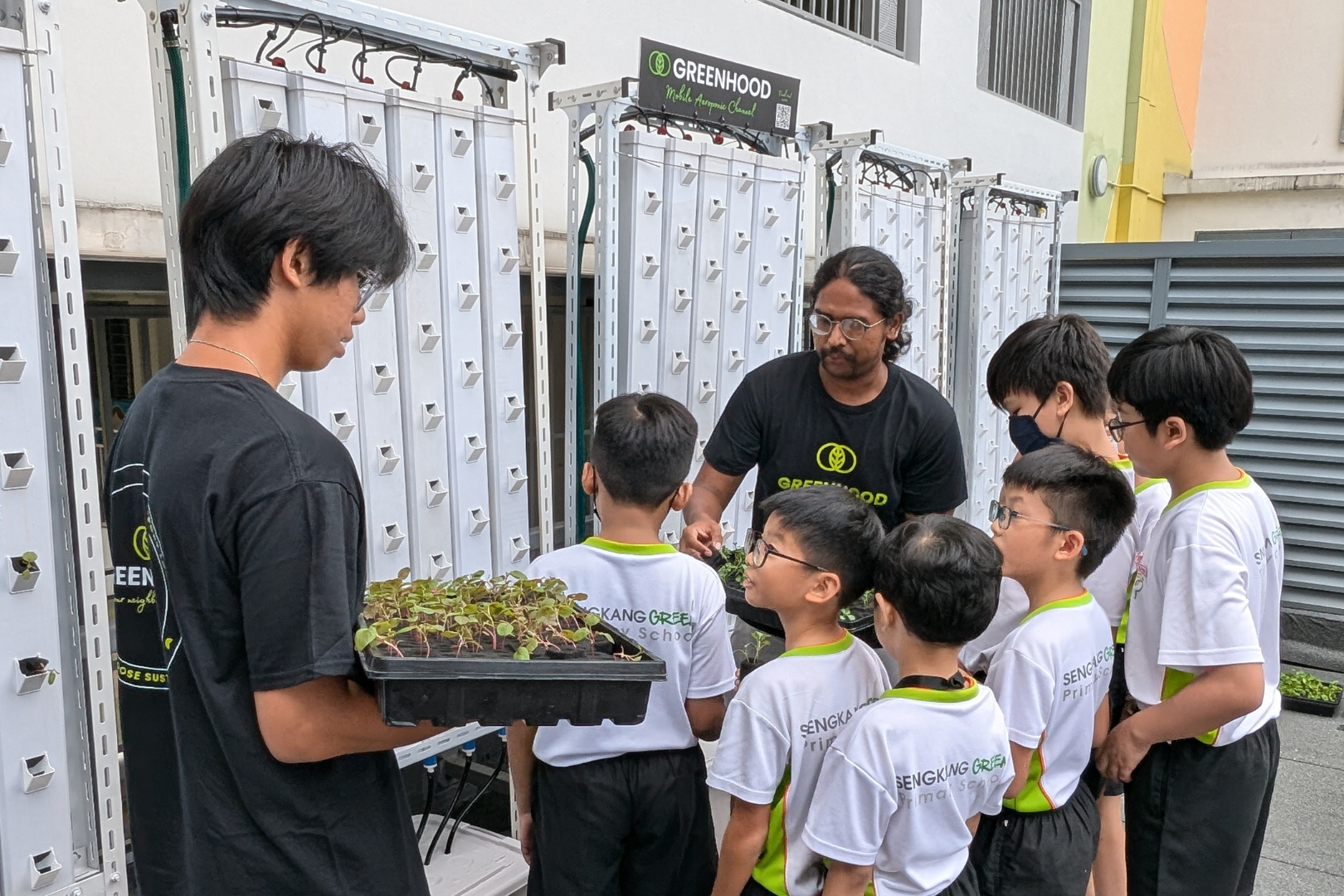 Edible green wall - Sengkang School