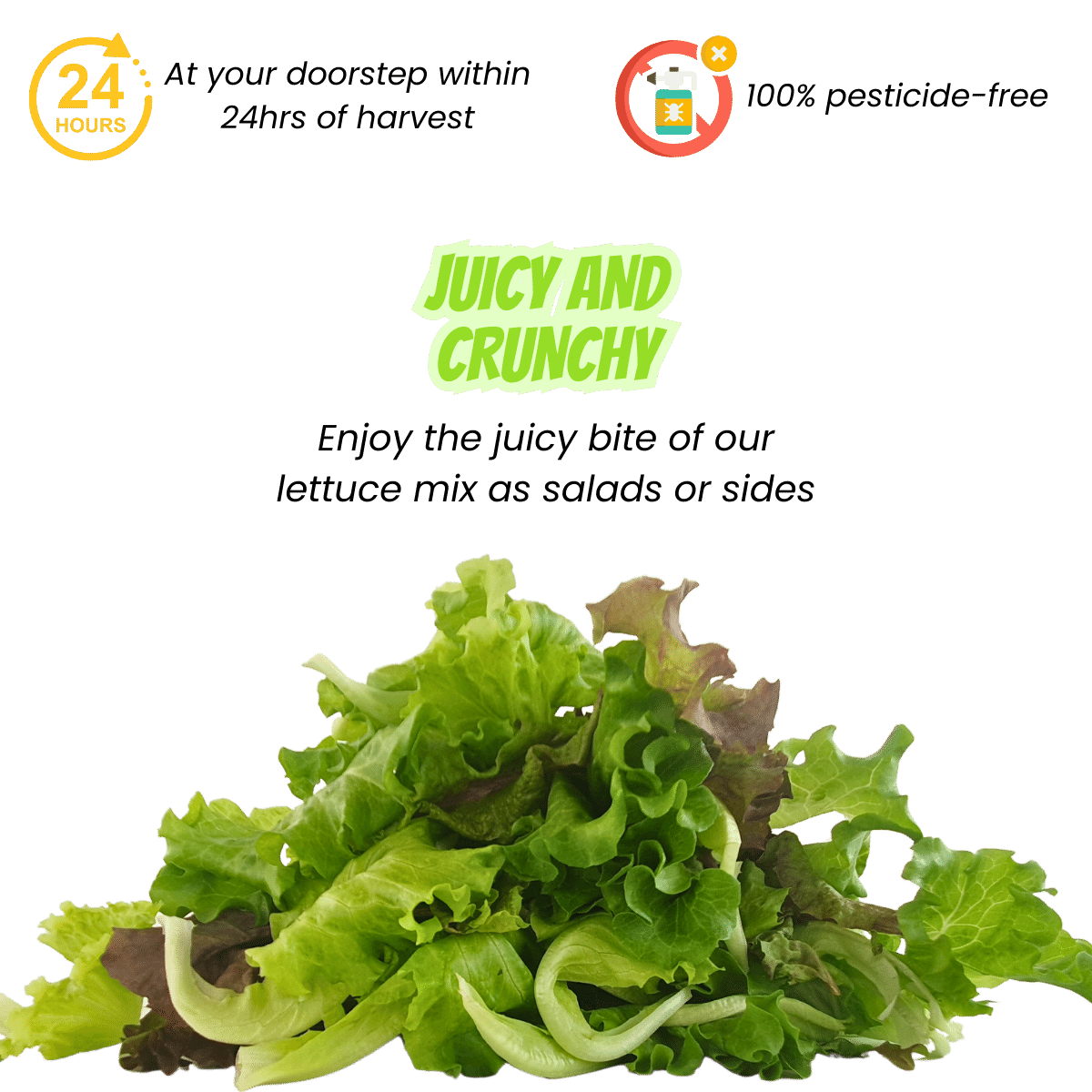 Farm Fresh Premium Salad Mix