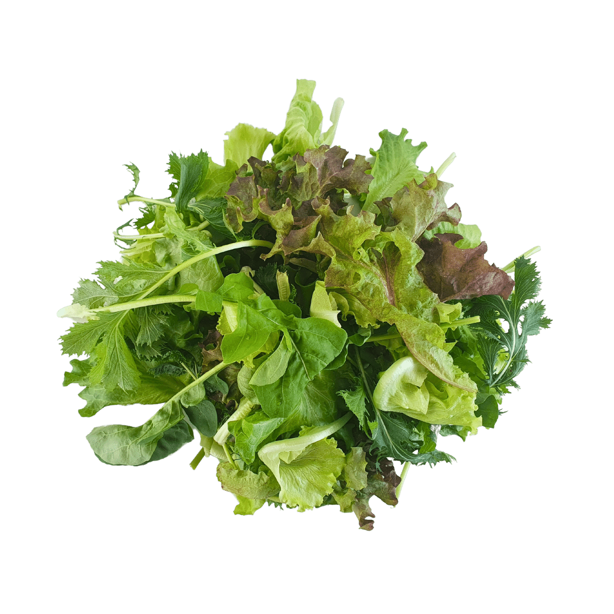 Premium Salad Mix Greenhood premium-salad-mix-greenhood