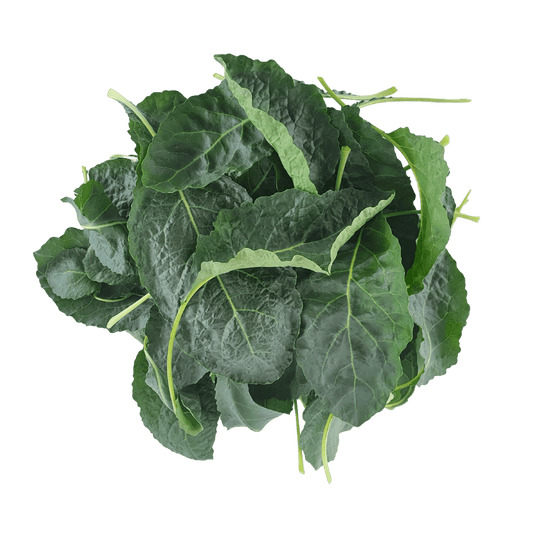 Farm Fresh Tuscan Kale