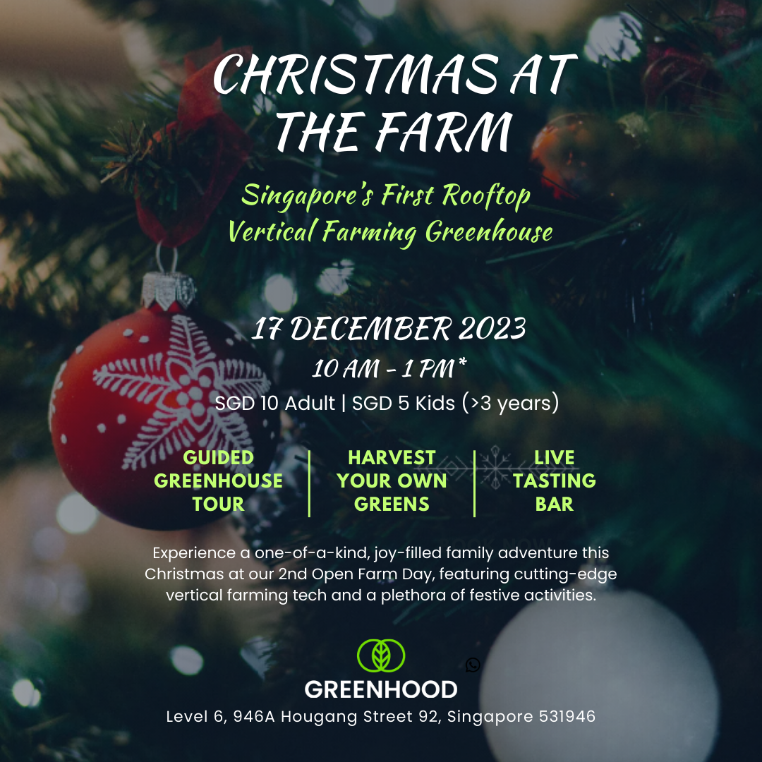 Christmas at the farm