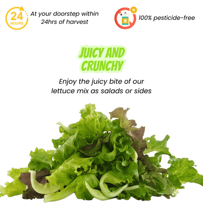 Farm Fresh Premium Salad Mix