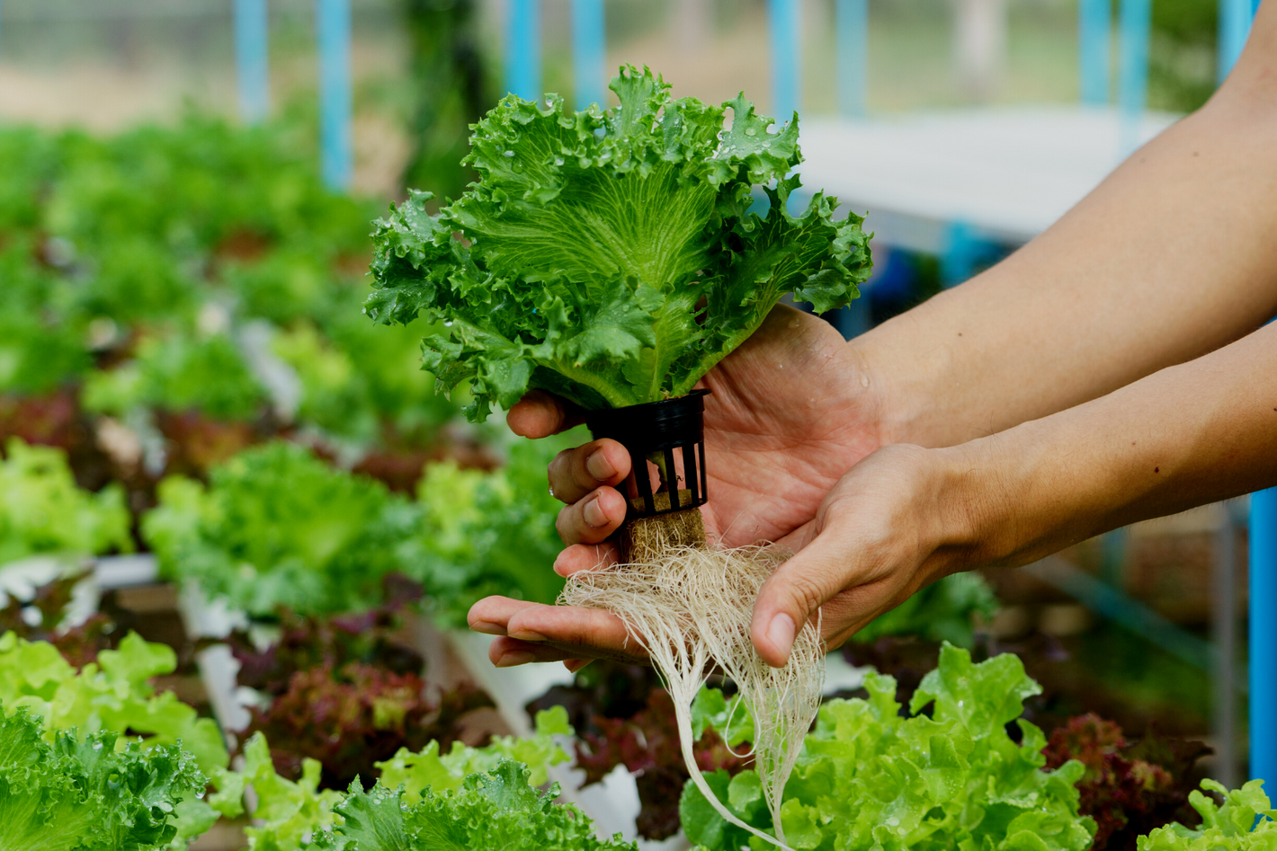 Farming activities