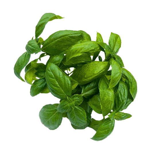 Farm Fresh Basil