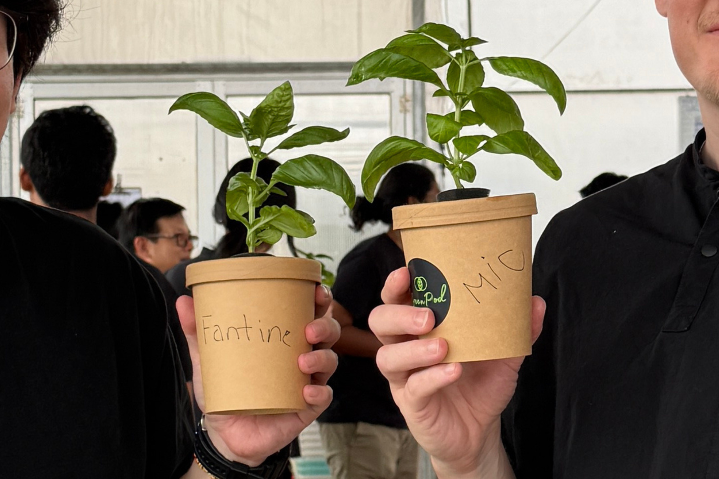 DI plant kit 