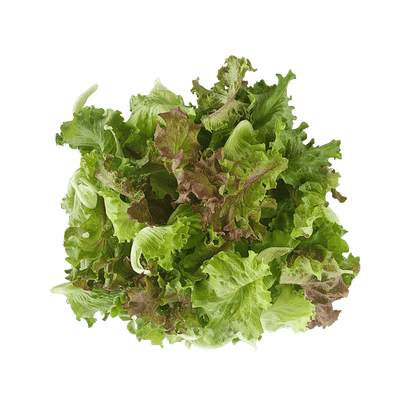Farm Fresh Lettuce Mix