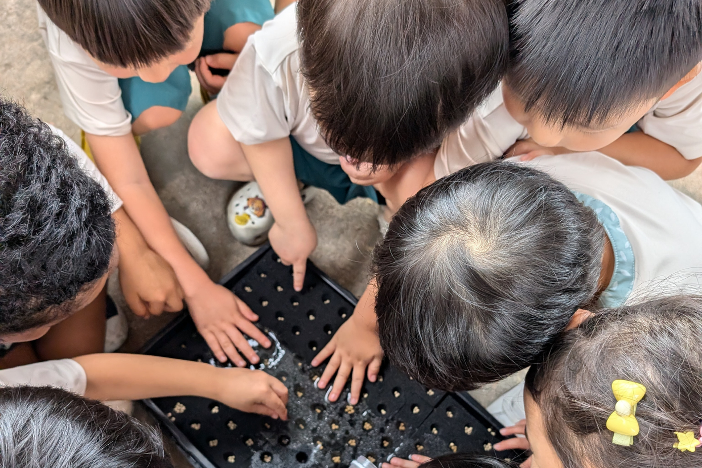 preschool farm tour excursion