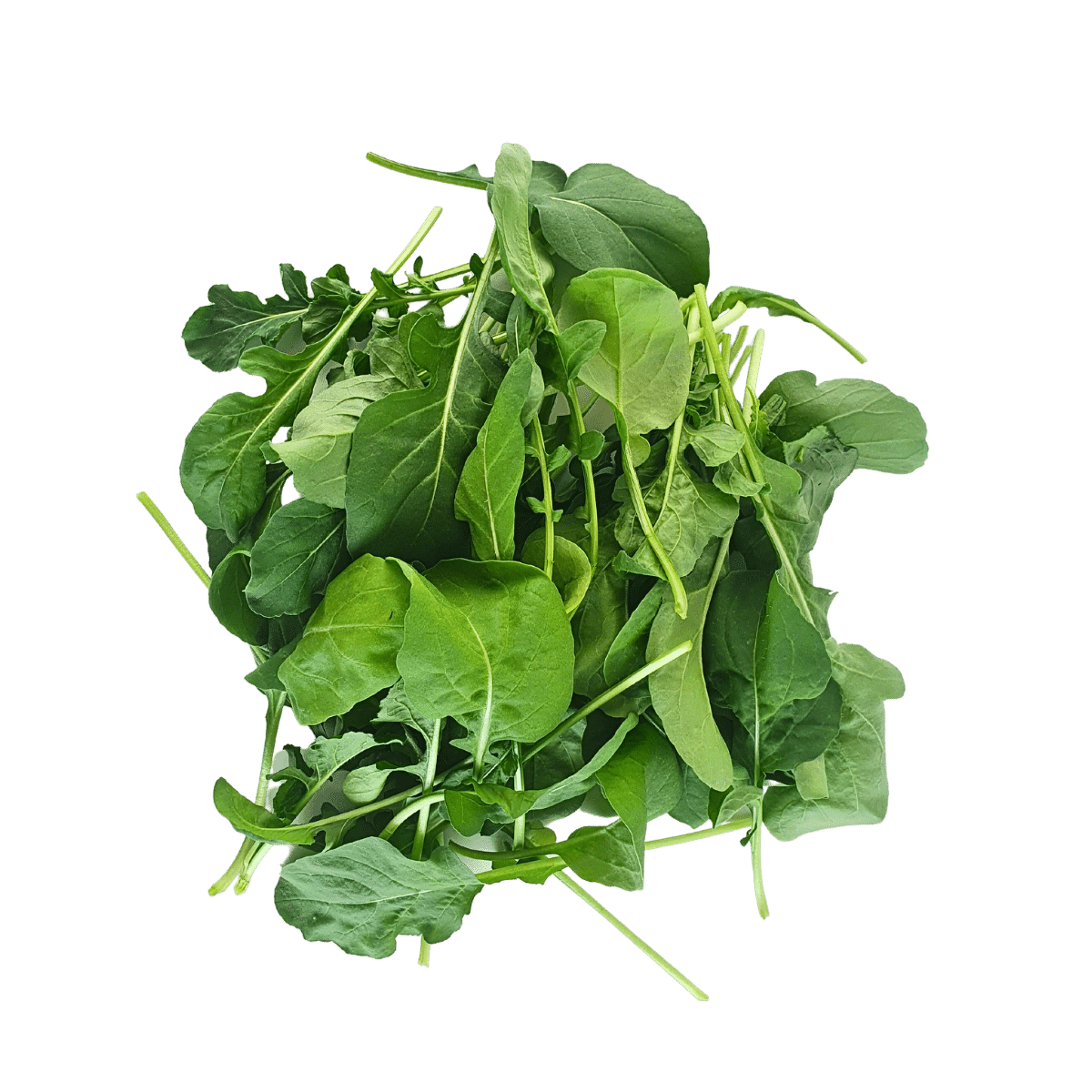 Arugula/ Rocket – Greenhood