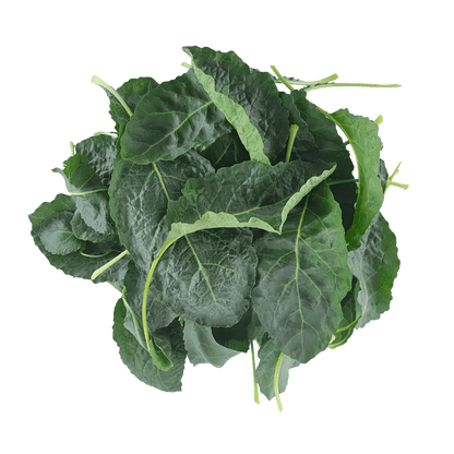 Farm Fresh Tuscan Kale