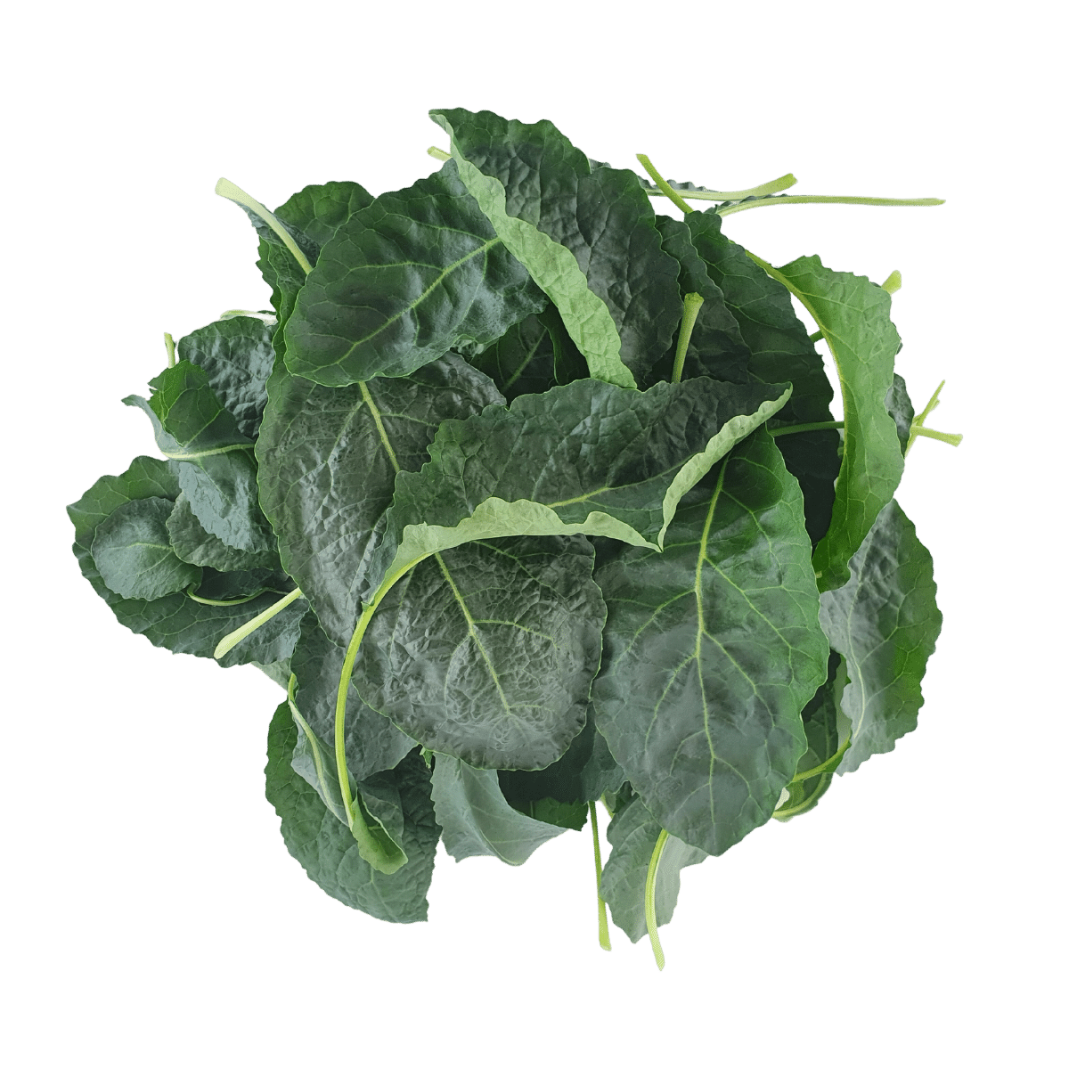 Farm Fresh Tuscan Kale