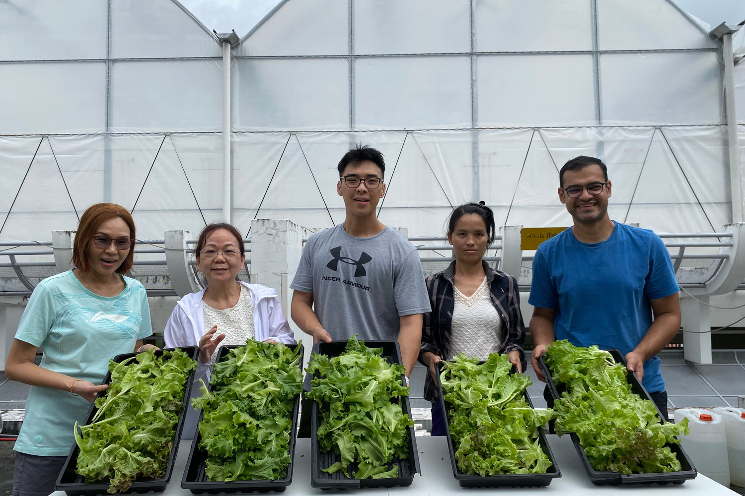 volunteer urban farm